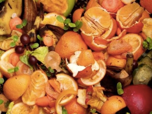 Kitchen-Compost Food Scraps