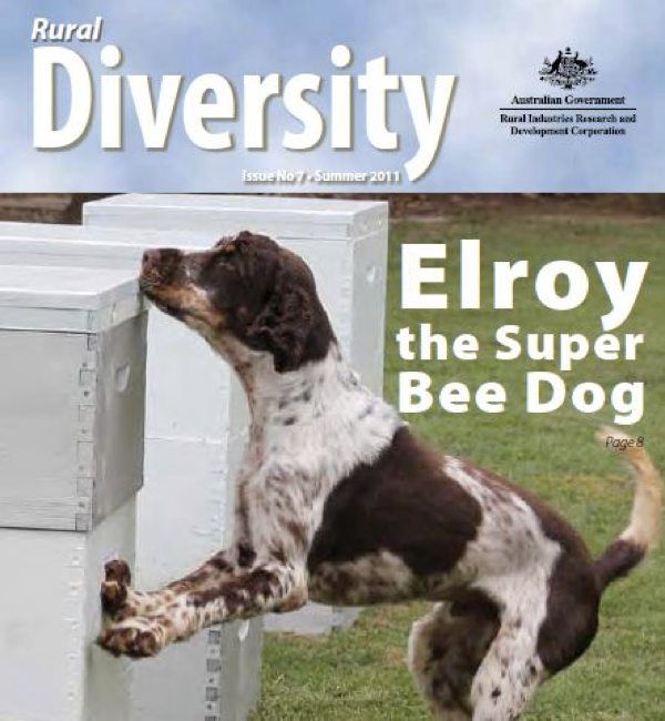 Dogs are now being trained to detect sick beehives, showcasing their remarkable olfactory skills in environmental conservation efforts.