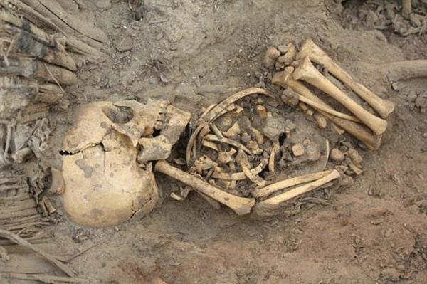 Sacrificed baby skeletons
