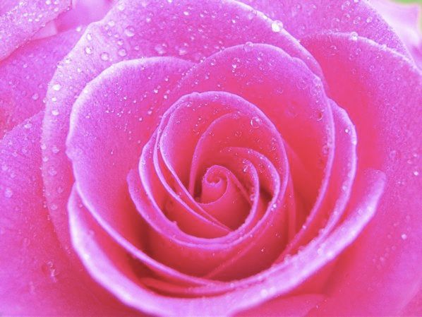 Pink-Pink-Color-4286512-2560-1920-1Mlnj7Q-24Akzj4