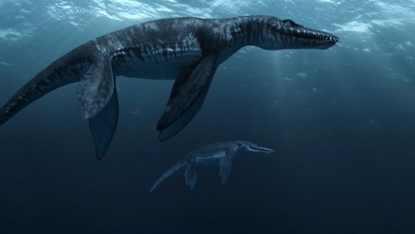 Liopleurodon