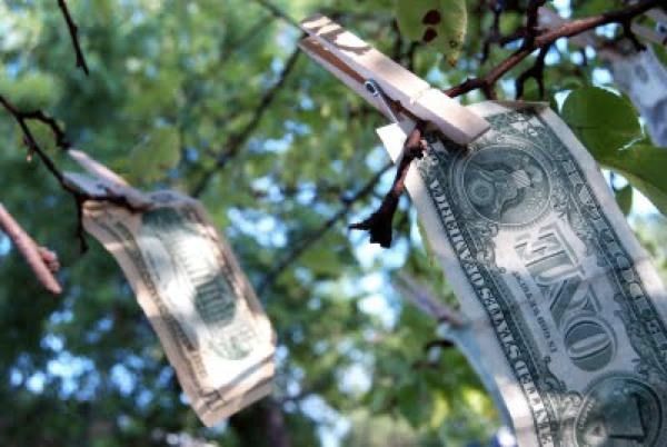 Money Doesn't Grow on Trees