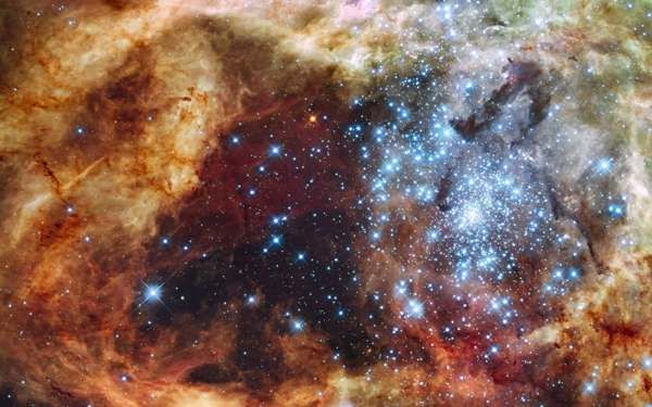 R136, home to some of the largest blue stars we know to exist.