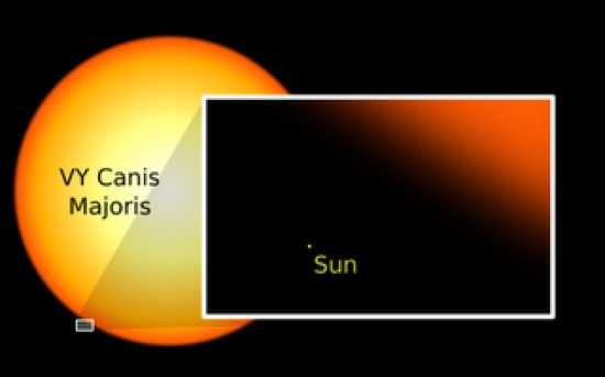542709 Com Vycanismajoris