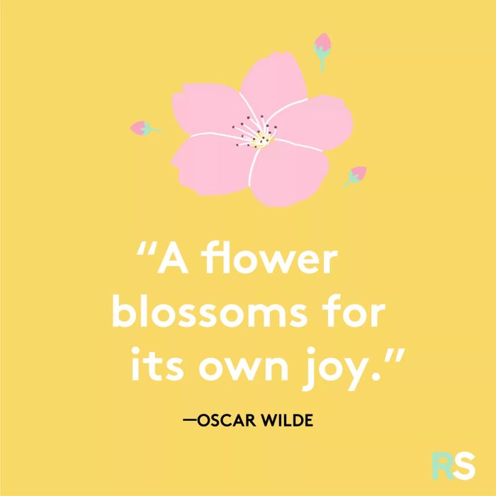 motivational spring quotes