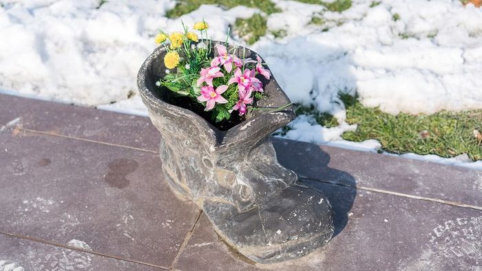 Gardening in the Winter Months