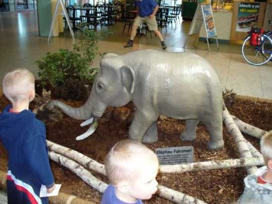 1374323B-E28B-405C-9195-947544D577E0