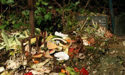 An image of a home compost pile.