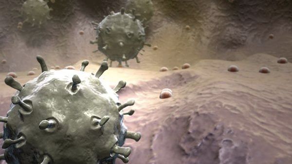 Gty H5N1 Virus Avian Flu Thg 111220 Wg