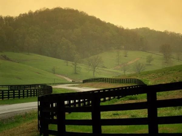 Rural Living