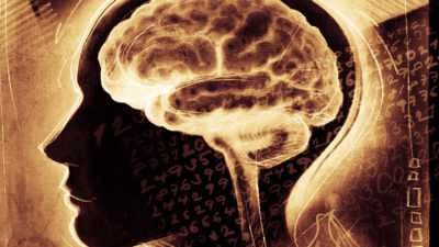 Brainwithnumbers