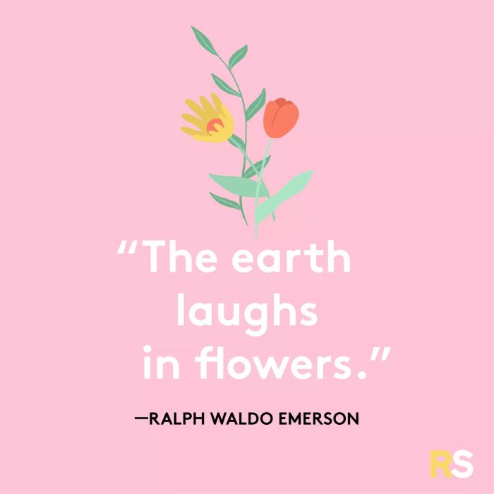 motivational spring quotes