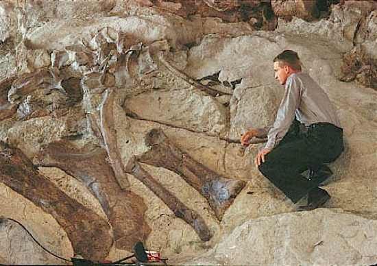 Dinosaur3251A