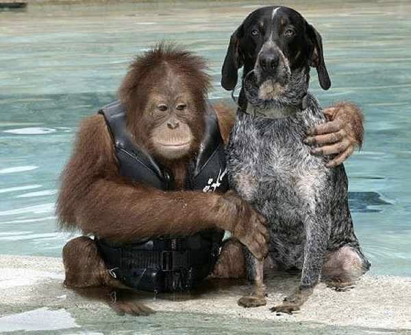Suryia-And-Roscoe-Pic-Barcroft-Image-1-350354283