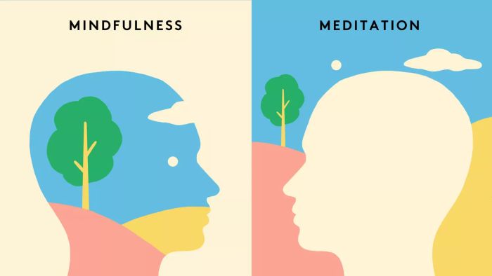 Mindfulness vs. Meditation: what sets them apart?