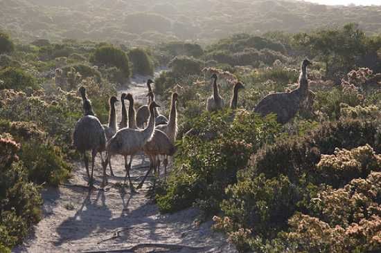 266954773 80249Ddd6A