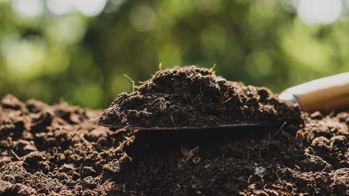 A garden bed of loam soil is accompanied by a hand trowel holding a scoop of the same rich, earthy material.