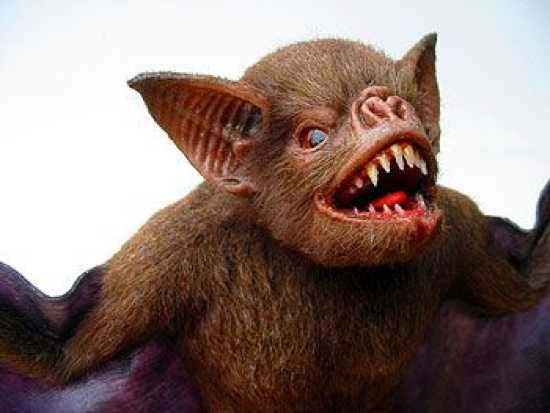 Bat576701 1