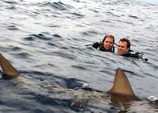 Open Water Movie