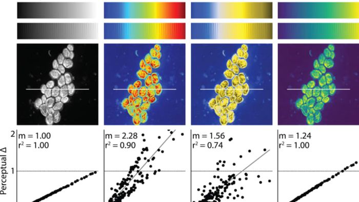 This new blue-yellow color scale is called CVD-Jet