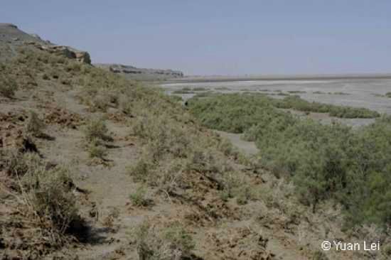 South-Edge-Of-Lop-Nur