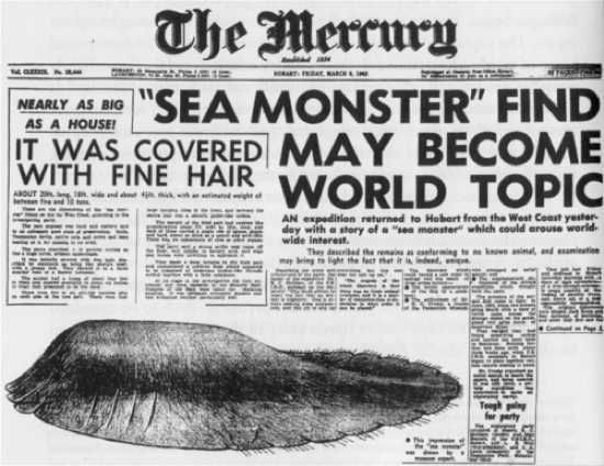 The Mercury Tasmanian Globster1