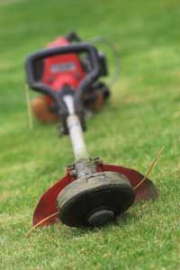 A red and black weed trimmer rests in the grass.