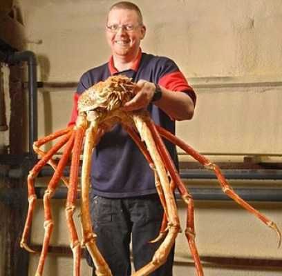 The Monster Crab