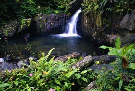 El-Yunque-4-1