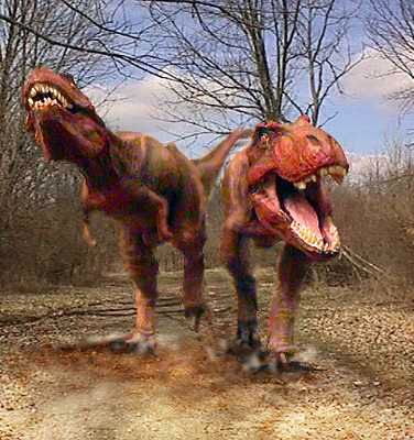 Dinosaur Footprints