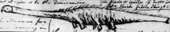Stronsay Beast1