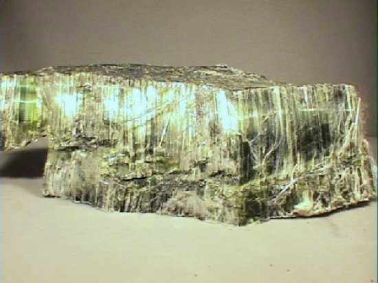 Serpenti