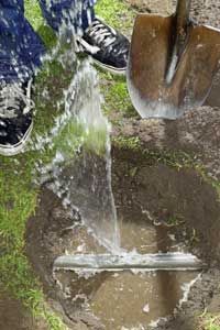 damaged irrigation line
