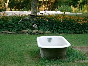 unusual garden
