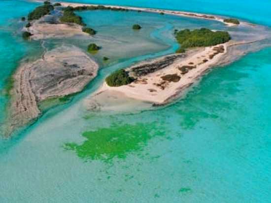 Bu-Tinah-Shoals-492907