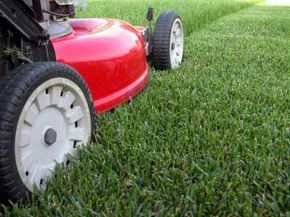 A red push mower neatly slices through the grass.