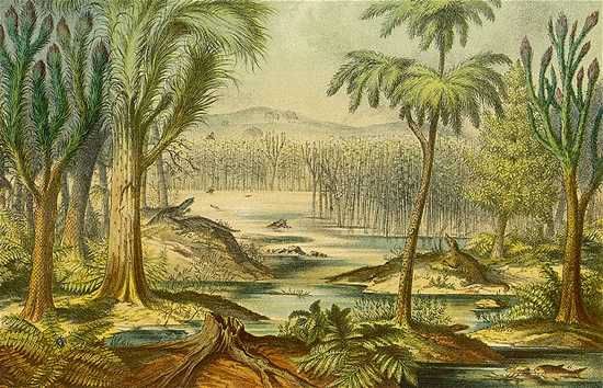 Carboniferous Fore 1773975B