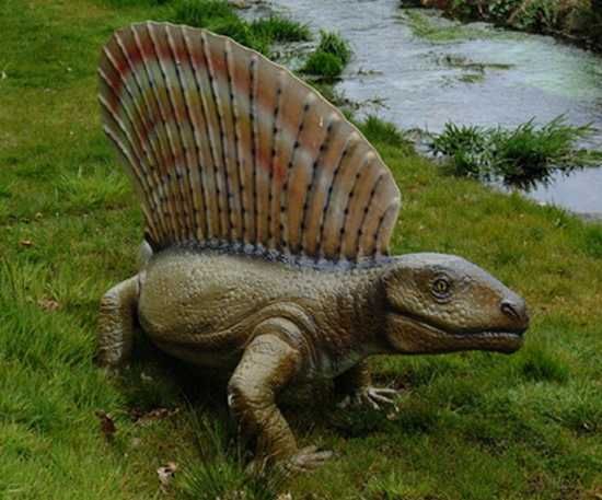 Edaphosaurus64