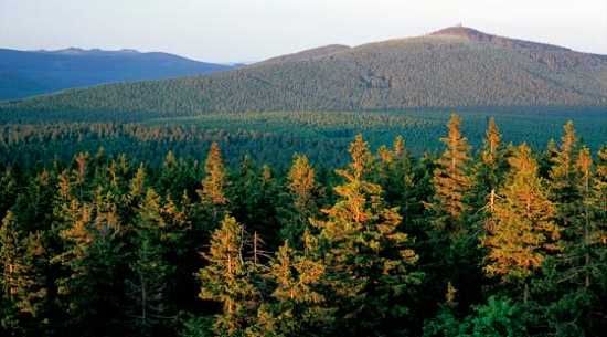 Harz-Mountains-C-Tourismusmarketing-Niedersachsen-540300