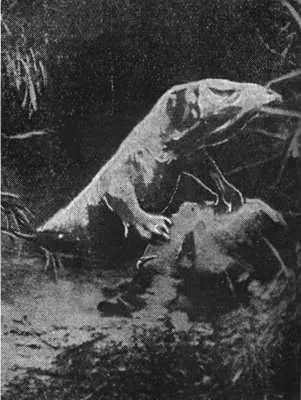 Johnson Hoax