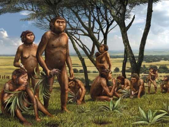 Hominids1