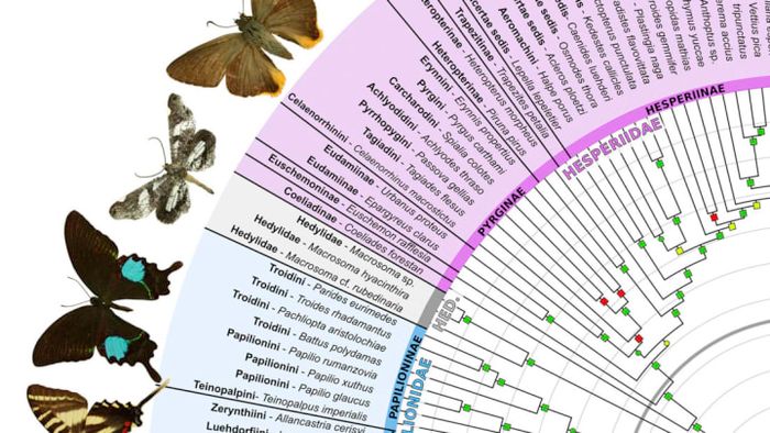 Espeland et al., Current Biology (2018)