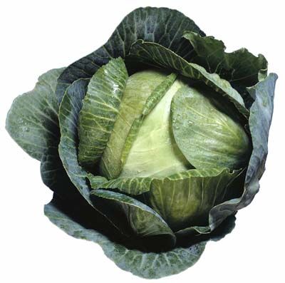 head of lettuce