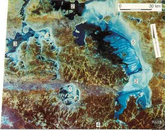 Acraman Crater Discovery