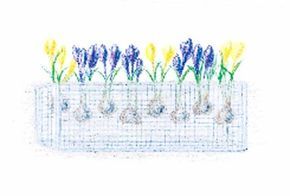 When planting bulbs, you're also preparing them to face the challenges ahead, ensuring their success.