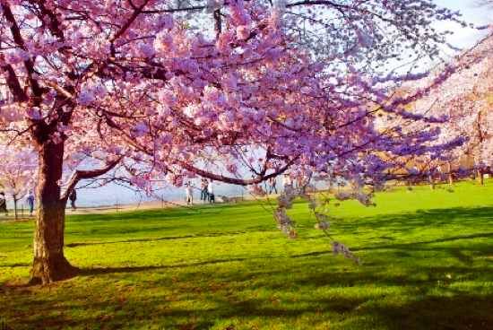 Spring-Lifestyle