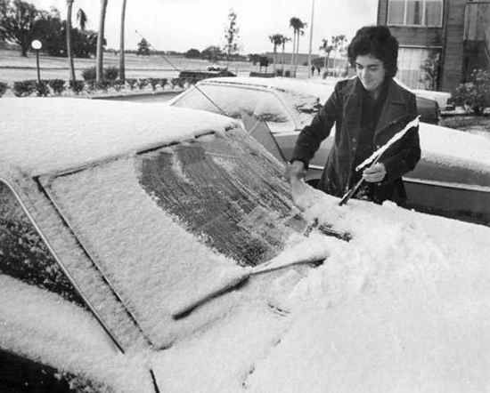 Petpeevesandrearendcollisions Snow Tampa January 19 1977
