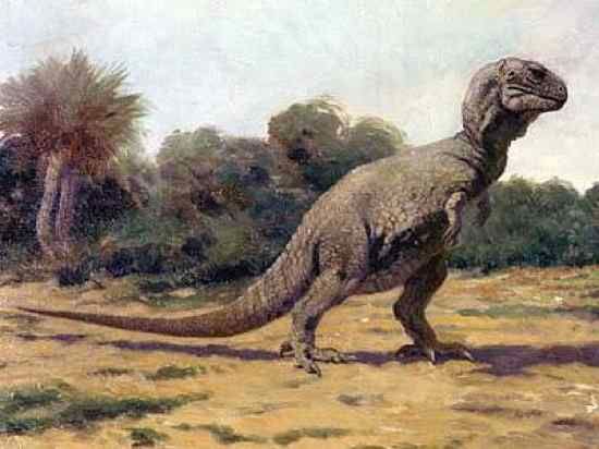 Knight Trex