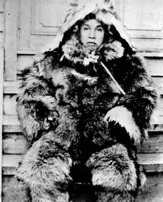 Shirase In Fur (Large)