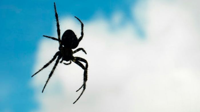 iStock